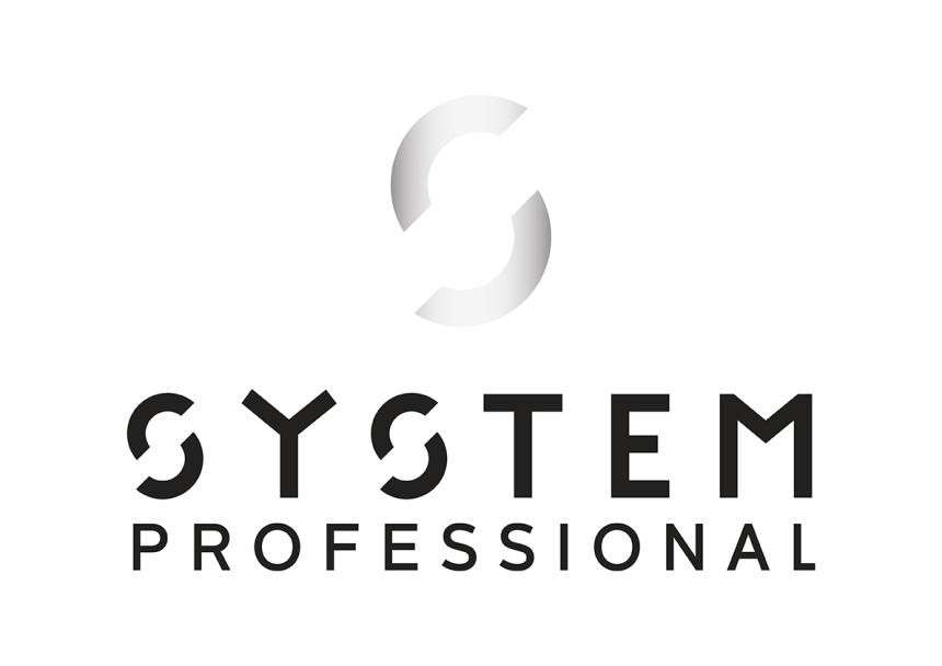 SYSTEM PROFESSIONAL